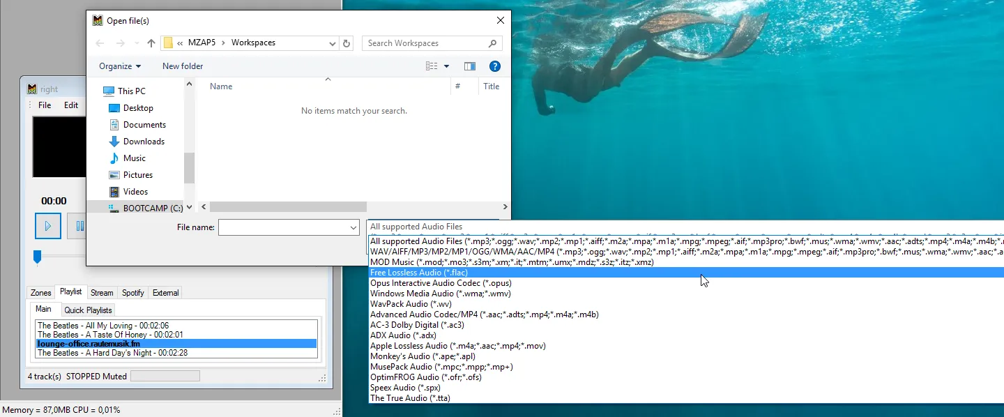 Supported audio formats