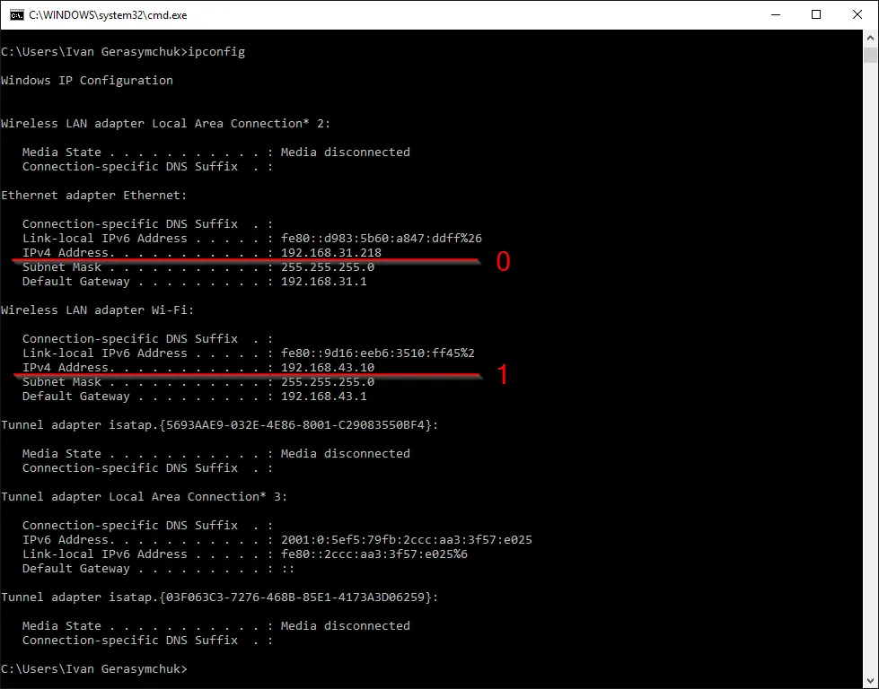 ipconfig - Multiple Network Adapters